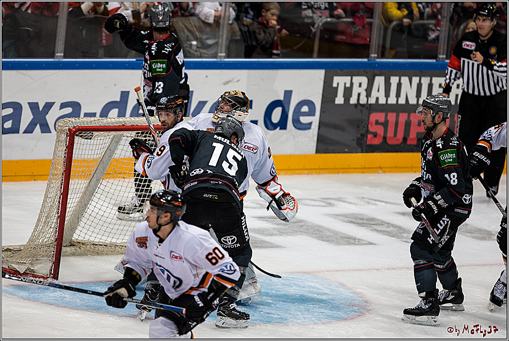 Koelner Haie - Grizzlys Wolfsburg, 16.10.2016, 16.10.2016